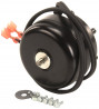 Buy TRUE 813042 Motor