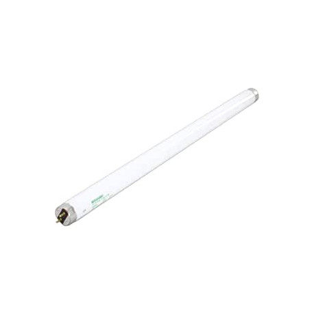 Buy True 801159 LAMP FOR TCGDZ-50