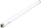 Buy True 801159 LAMP FOR TCGDZ-50