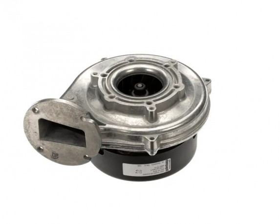 Buy Rational 70.00.566P Blower For Burner NRG118, 230VAC, 50HZ, 110HZ, Class H