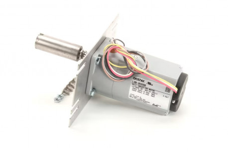 Buy Lincoln 370676 Conveyor Motor, 230V, 50/60HZ, 1PH