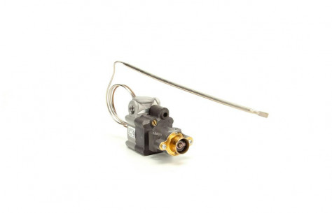 Buy THERMOSTAT 2000100 APW