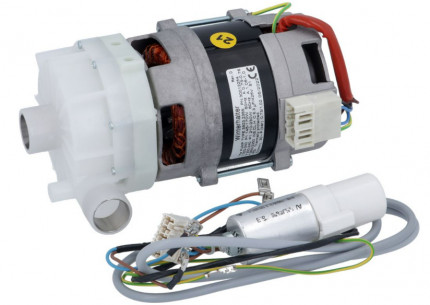 Buy Winterhalter 30012256 ELECTRIC PUMP FIR 3923DX 0,25HP