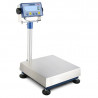 Buy Dini Argeo WEX300-1, Movable Bench Scale Capacity : 300 Kg/ 100g