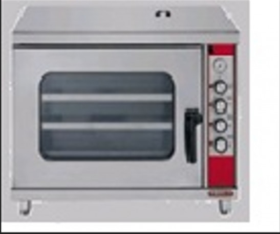 Buy Bertos FM 60 EEP, Electric & Gas Convection Oven