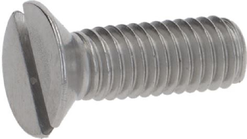 Buy Victoria Arduino 00300021, Screw Stainless Steel M6X18 DIN963