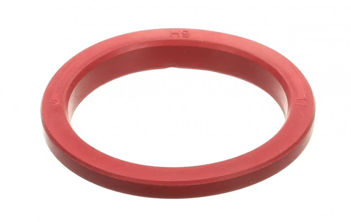 Buy Nuova Simonelli USA KRIC0001 Gasket/Seal, Red Group, VA38, Aurelia