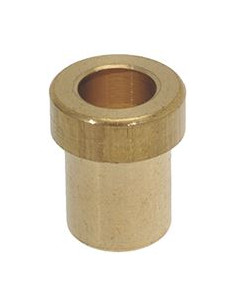 Buy SPRING GUIDE BUSHING 313116 Pavoni