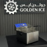 Buy Golden Ice HEF-11L, Electric Deep Fryer, 11 Liters