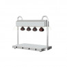Buy Golden Ice ZW-WL-4A, Electric Fries Warmer with 4 Heat Lamps