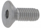 Buy Rocket Espresso R319905585, FIXING SCREW F/SHOWER BOXER/R9/R NINE ONE/R9V