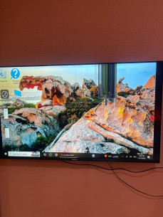 Buy شاشة نيكاي 55 بوصة (مكسورة - لقطع الغيار فقط)