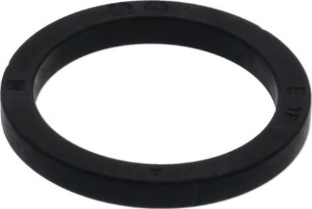 Buy Rancilio 36301051, Filter Holder Gasket