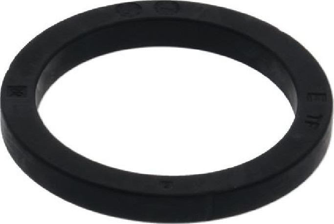 Rancilio 36301051, Filter Holder Gasket