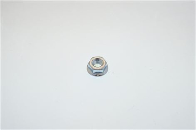 Buy Rational 10.00.709P, Hexagon Nut M6 with Locking Device, 10 Pcs