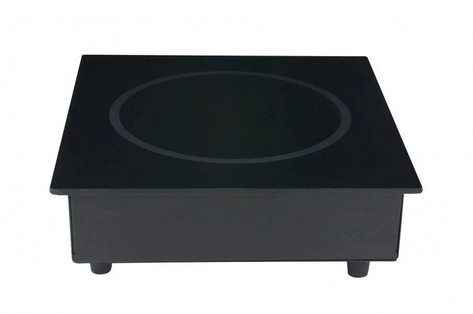 Buy SPRING USA SM-263RU Built-In Induction Ranges