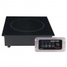Buy SPRING USA SM-263RU Built-In Induction Ranges