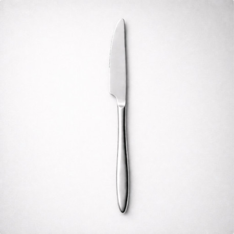 Buy LUGGA, DOGA Table Knife, 219mm