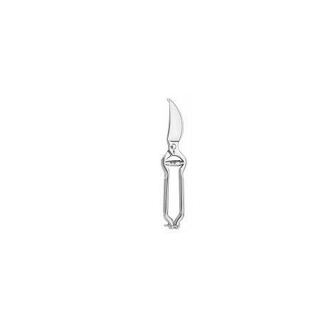 Buy ICEL 951.11067.26, Stainless Steel Meat Scissor, 260mm