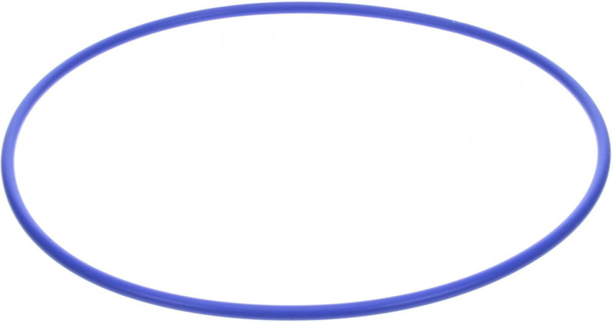 Buy Winston PS1891 Lid Fryer Gasket