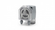 Buy Nilma 80200011 Automatic Sanitizer Dosing Pump for Atir Vegetable Washers