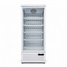 Buy WNTER KXG-800P, Single Door Display Refrigerator