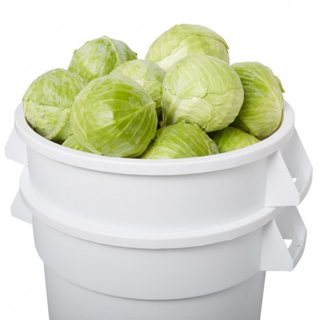 Buy Rubbermaid- FG262400WHT-  Brute Greens Keeper 