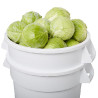 Buy Rubbermaid- FG262400WHT-  Brute Greens Keeper 